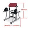 Biceps Bench
