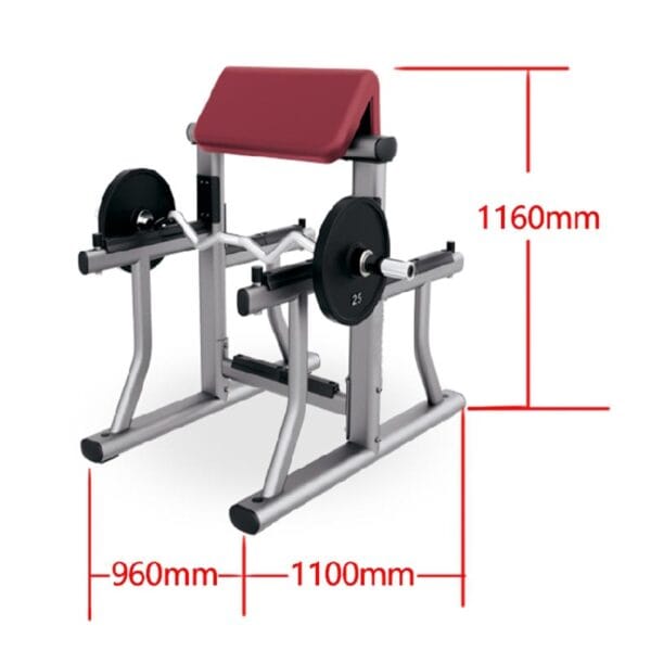 Biceps Bench
