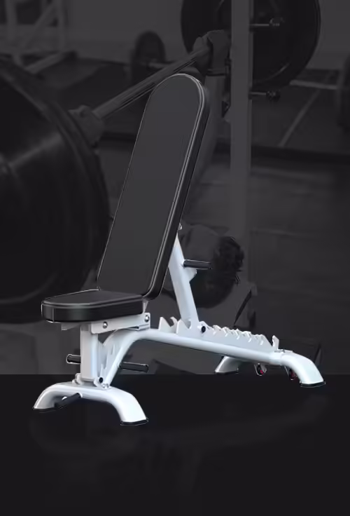 Fitness Equipment