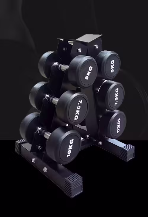 Fitness Equipment