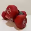 Rubber Coated Dumbbells