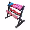 Two Tier Dumbbell Rack