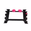 Small Dumbbell Rack