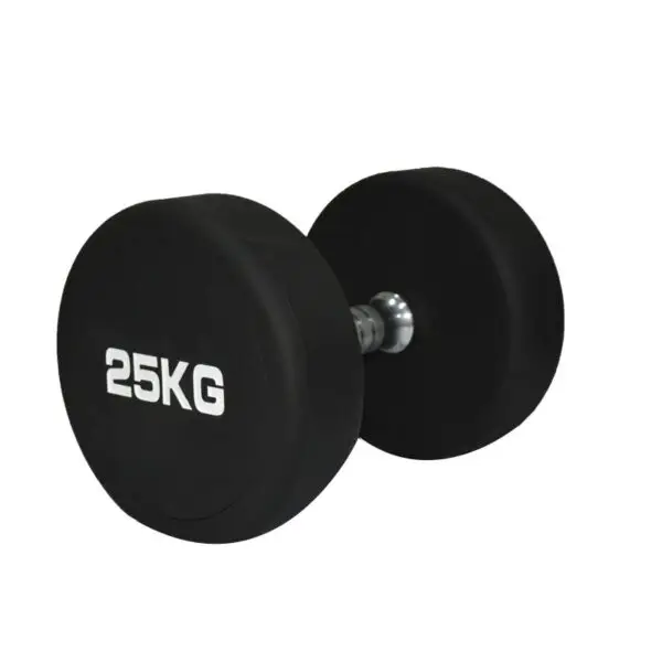 25 lbs dumbbells