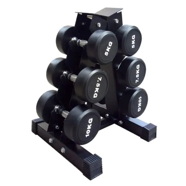 dumbbell rack for home