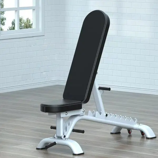 Fitness Chair